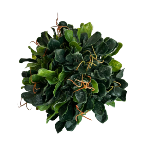 TOPIANG DARK SMALL LEAF
