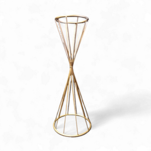 GOLD CONE FLOWER HIGHT 60cm